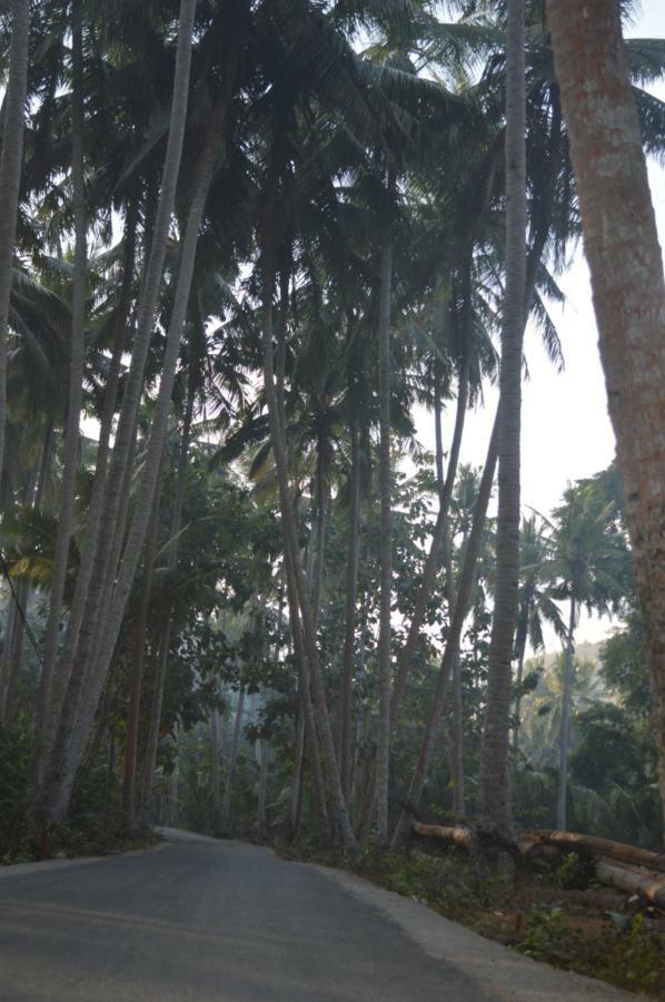 Nyuh Gading Bungalow Nusa Penida Sakti Экстерьер фото